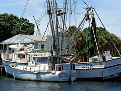 tarpon fishing boats